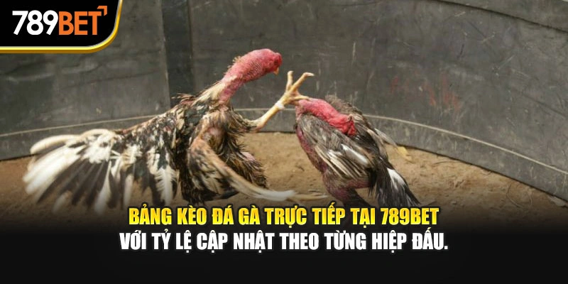 Bảng kèo đá gà trực tiếp tại 789bet với tỷ lệ cập nhật theo từng hiệp đấu.