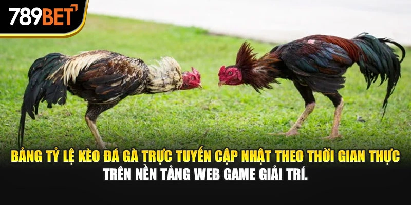 Bảng tỷ lệ kèo đá gà trực tuyến cập nhật theo thời gian thực trên nền tảng web game giải trí.