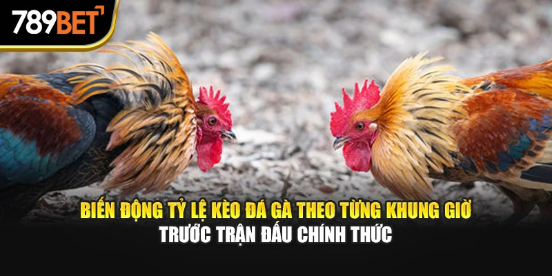 Biến động tỷ lệ kèo đá gà theo từng khung giờ trước trận đấu chính thức.