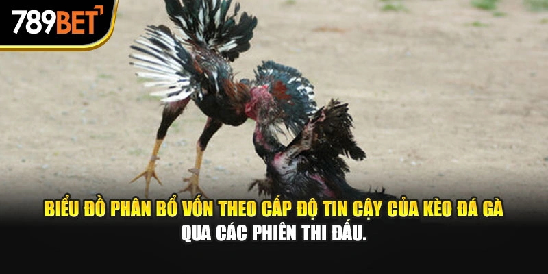 Biểu đồ phân bổ vốn theo cấp độ tin cậy của kèo đá gà qua các phiên thi đấu.