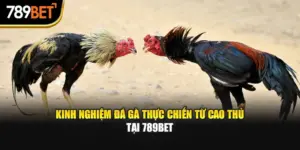 Kinh Nghiệm Đá Gà Thực Chiến Từ Cao Thủ Tại 789bet